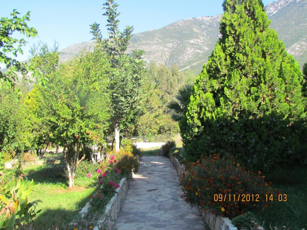 Salhan Apart Inn Hotel Ölüdeniz Eksteriør billede
